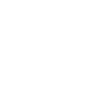 Our Vision